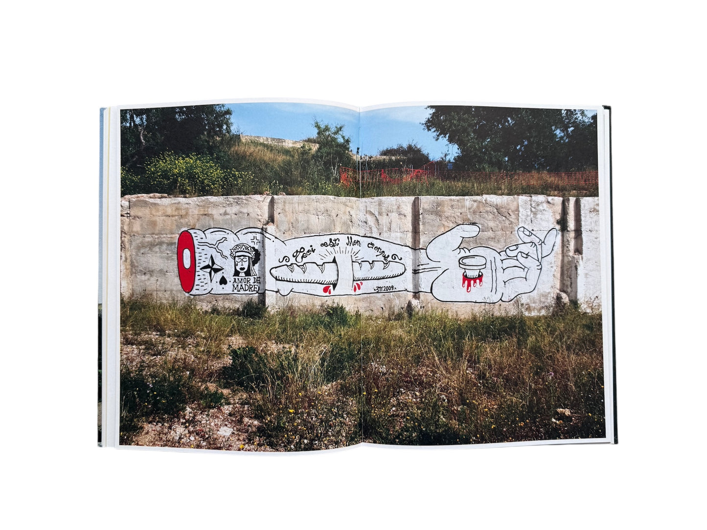 Muralismo Morte: The Rebirth of Muralism in Contemporary Urban Art