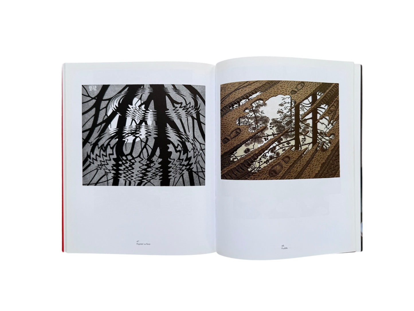 M.C. Escher: The Graphic Work