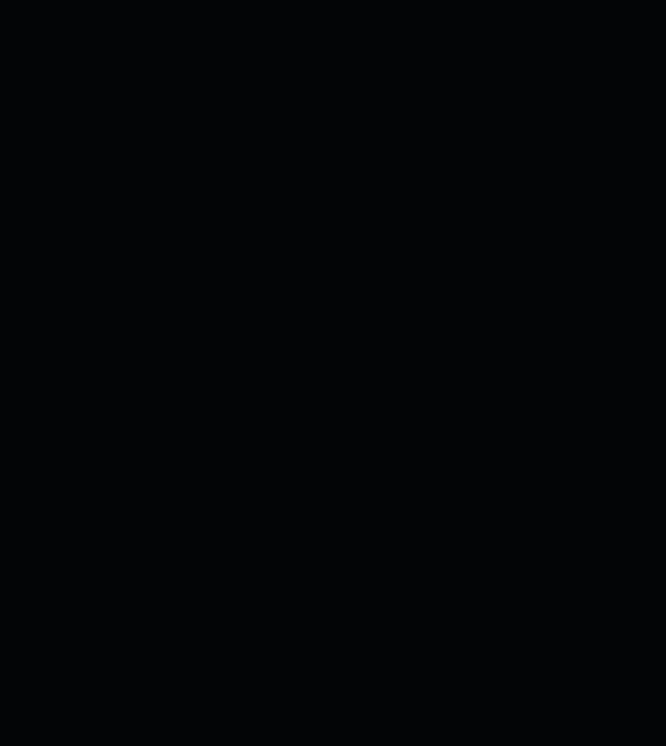 Montana Black 8600 Tarblack 600ml