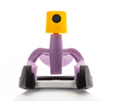 Violet Reign by Night Quill