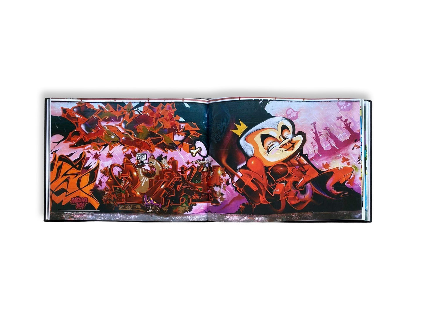 Amazing Day: Mr Wany Project