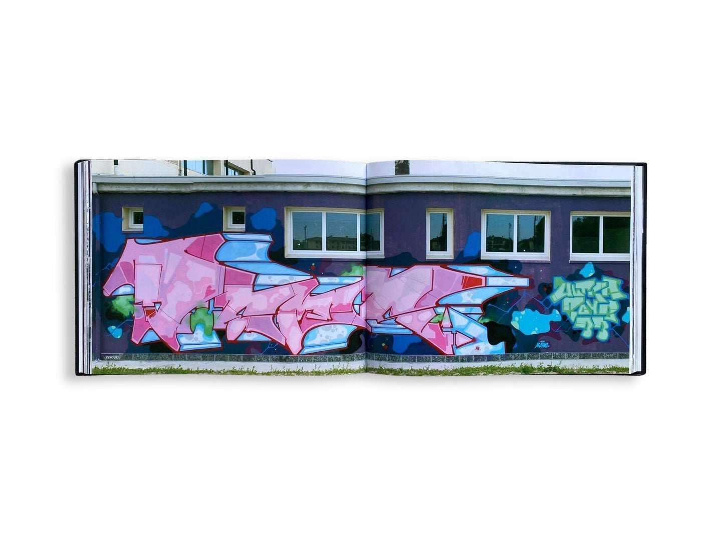 Amazing Day: Mr Wany Project