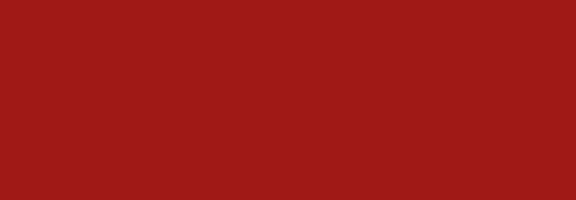 F139 WINE RED 400 ML