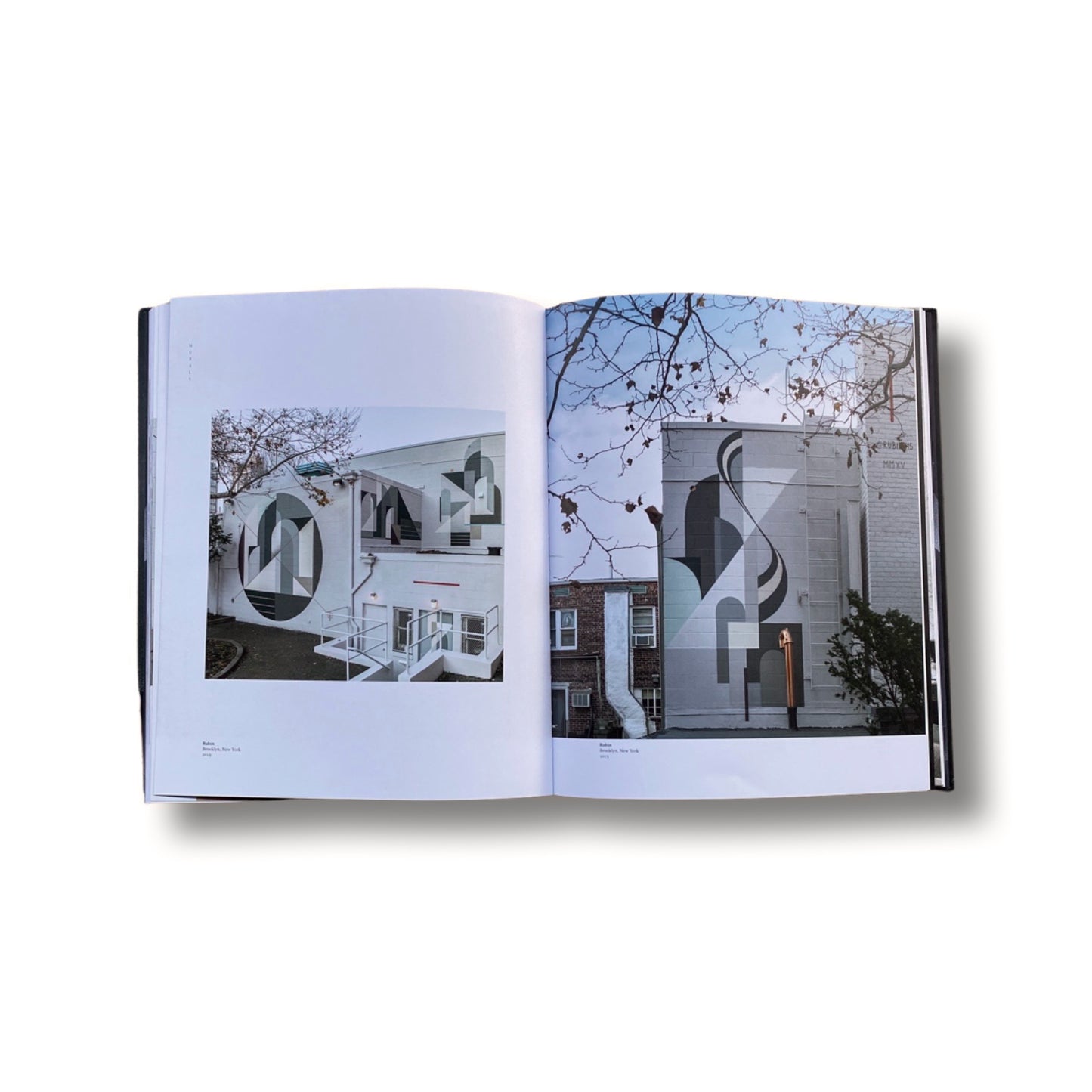 Rubin: Studio Works & Murals