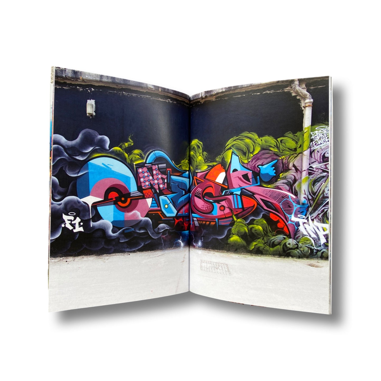 A Private Life of Letter Styles- Omega Volume 1