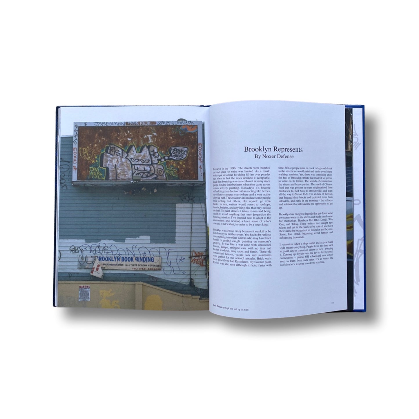 Rockin' it Suckers: New York City's Most Wanted Graffiti Vandals