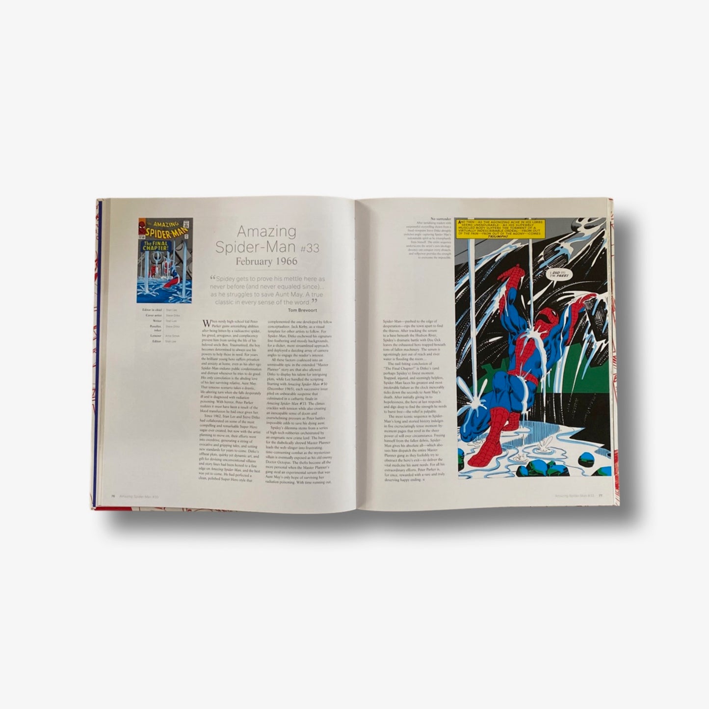 Marvel Greatest Comics: 100 Comics that Built a Universe