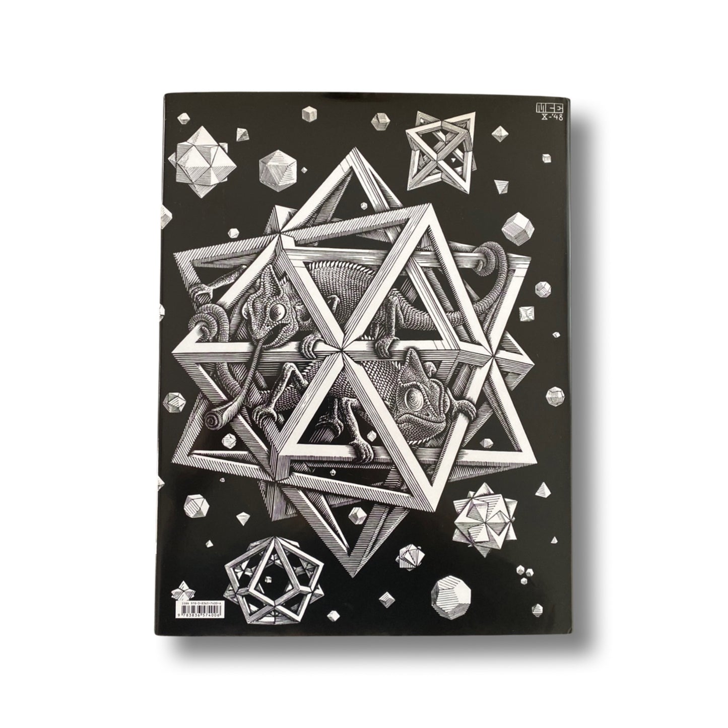 The Magic Mirror of M.C. Esher