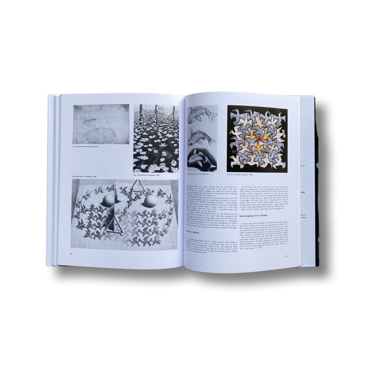 The Magic Mirror of M.C. Esher