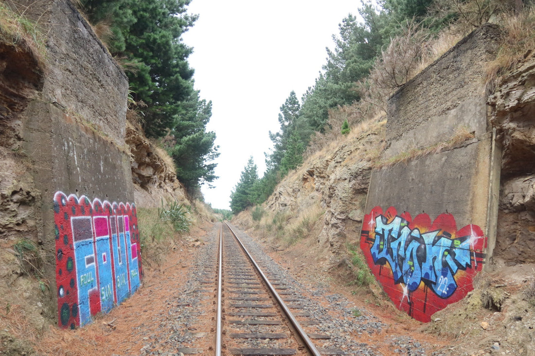 Foul Iron trackside graffiti