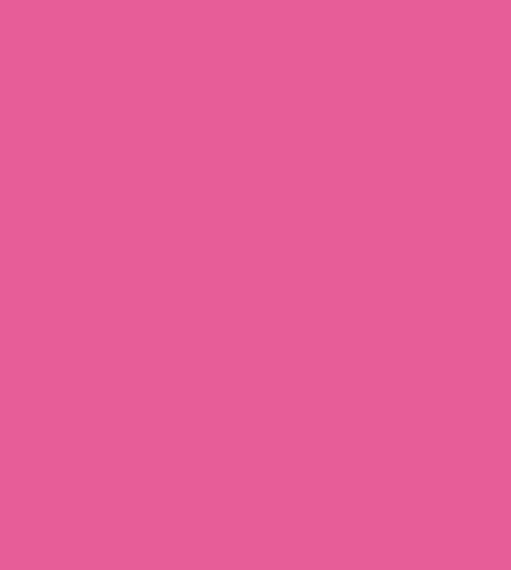Montana Black TR4010 50% True Magenta 400ml