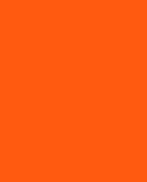 Montana Black P2000 Power Orange 400ml