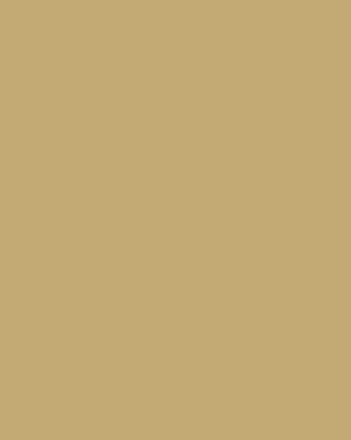 Montana Black 8110 Arabian 400ml