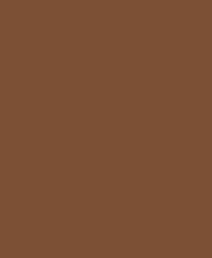 Montana Black 8060 Chocolate 400ml