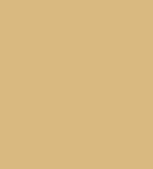 Montana Black 8020 Beige 400ml