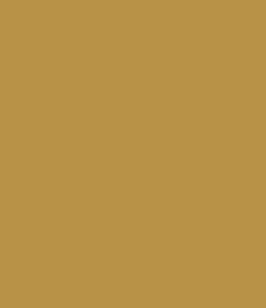 Montana Black 8010 Sand 400ml