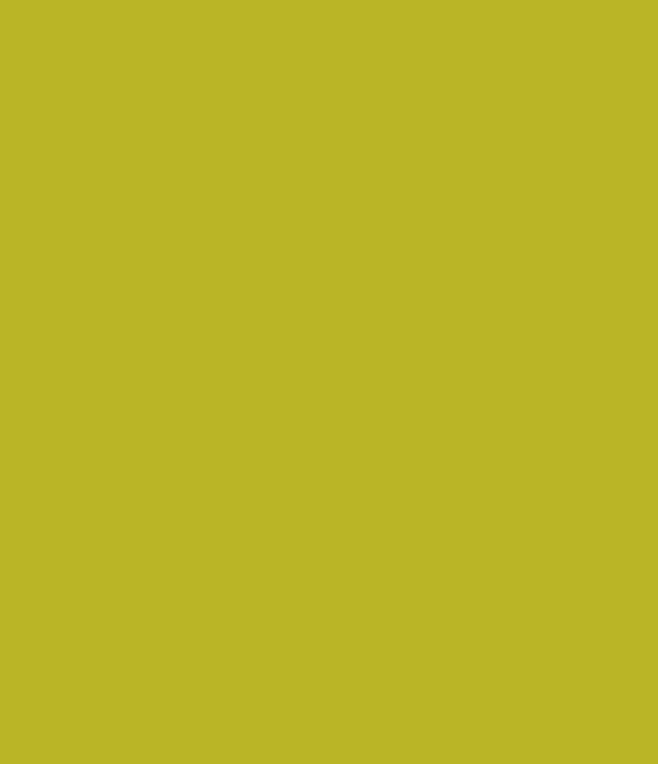 Montana Black 6710 Pear Green 400ml
