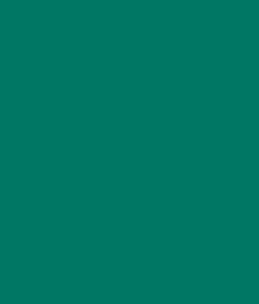 Montana Black 6340 Copper Green 400ml