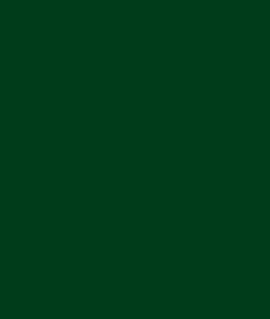 Montana Black 6070 TAG green 400ml
