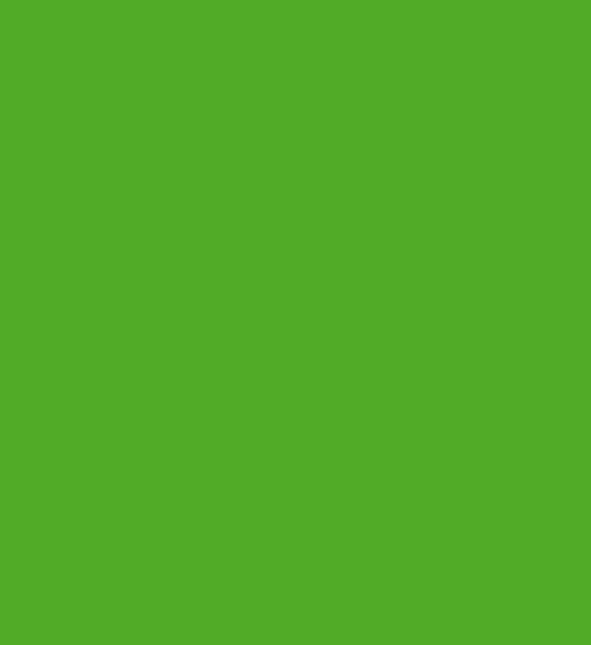 Montana Black 6045 Irish Green 400ml