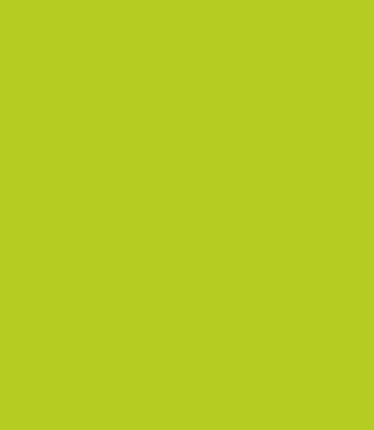Montana Black 6015 Wild Lime 400ml