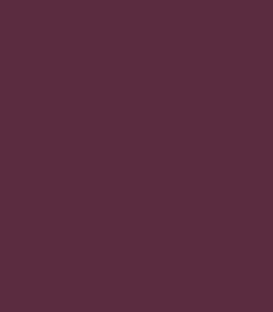 Montana Black 4290 Amethyst 400ml