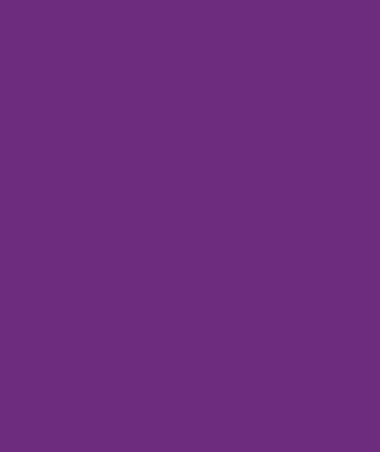 Montana Black 4040 Pimp Violet 400ml