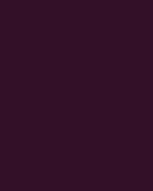 Montana Black 3070 Cherry 400ml