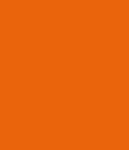 Montana Black 2075 Pure Orange 400ml