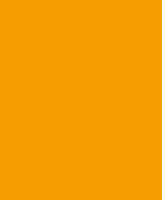 Montana Black 1045 Melon Yellow 400ml