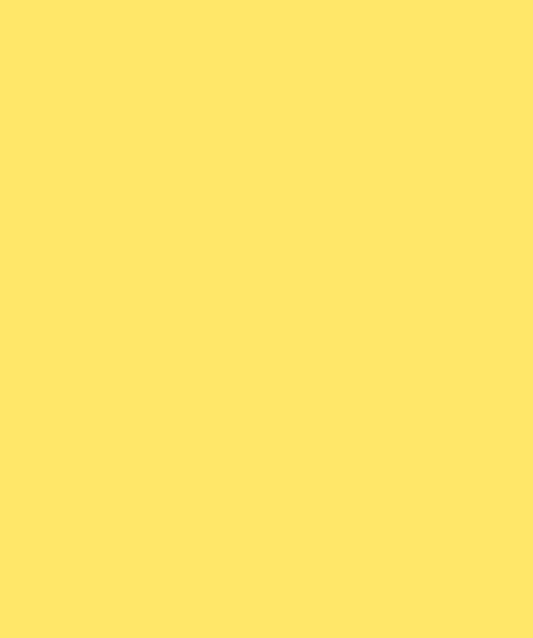 Montana Black 1010 Easter yellow 400ml