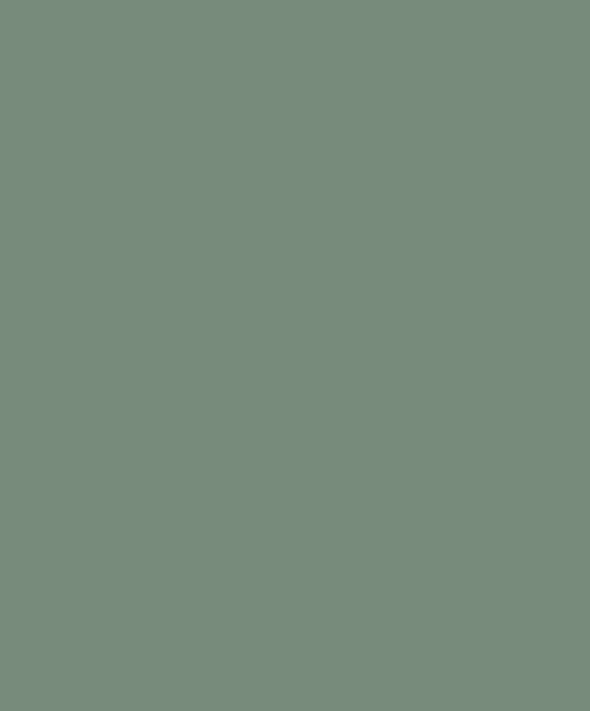 Montana Black 6520 Mist 400ml