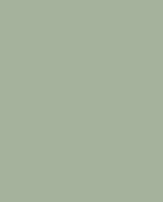 Montana Black 6510 Fog 400ml