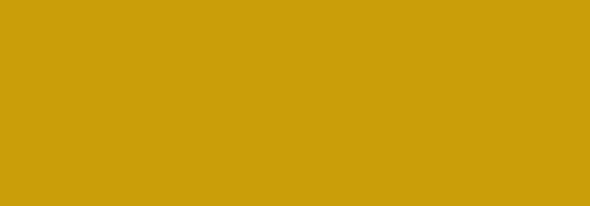 N067 EARTHLY OCHER  400ML