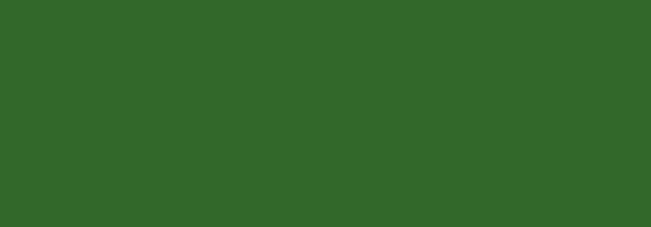 F122 HILL GREEN 400 ML