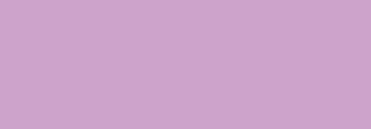 N035 HIPPIE PURPLE 400ML