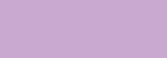 N165 PLEASURE VIOLET 400ML