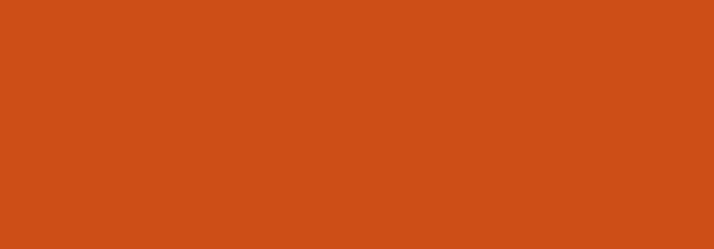 N072 RUSTY ORANGE 400ML