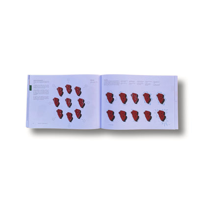 Graffiti Bible: A Complete Guide on How to do Graffiti