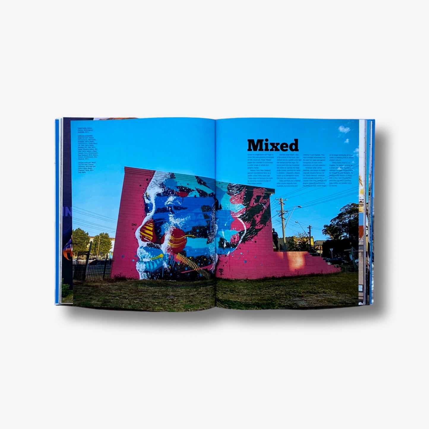 Mural XXL